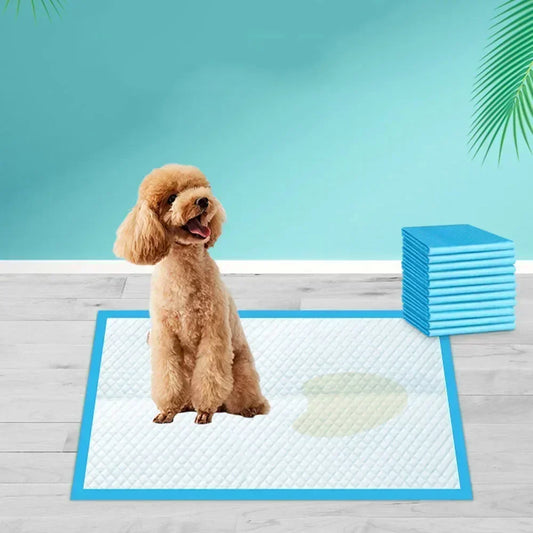 PawDry™ Super Absorbent Pet Training Pads – Disposable Pee Pads for Dogs & Cats