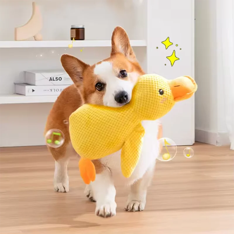 Pet Toys