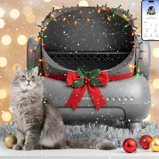 Neakasa® Smart Self-Cleaning Cat Litter Box – No Scooping, No Smell