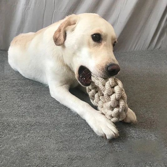 Durable Rope Chew Toys for Dogs – Dental Health & Playtime Fun