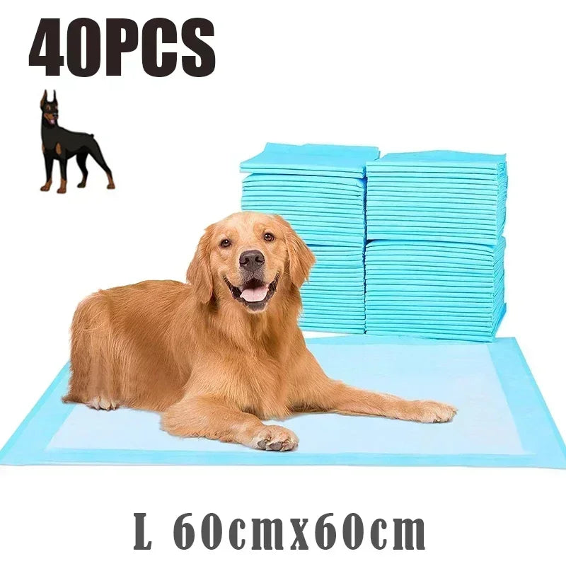 PawDry™ Super Absorbent Pet Training Pads – Disposable Pee Pads for Dogs & Cats