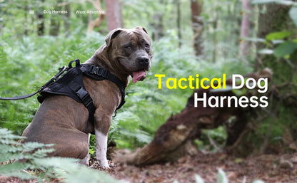 The Modahub Tactical Dog Harness for Large Dogs