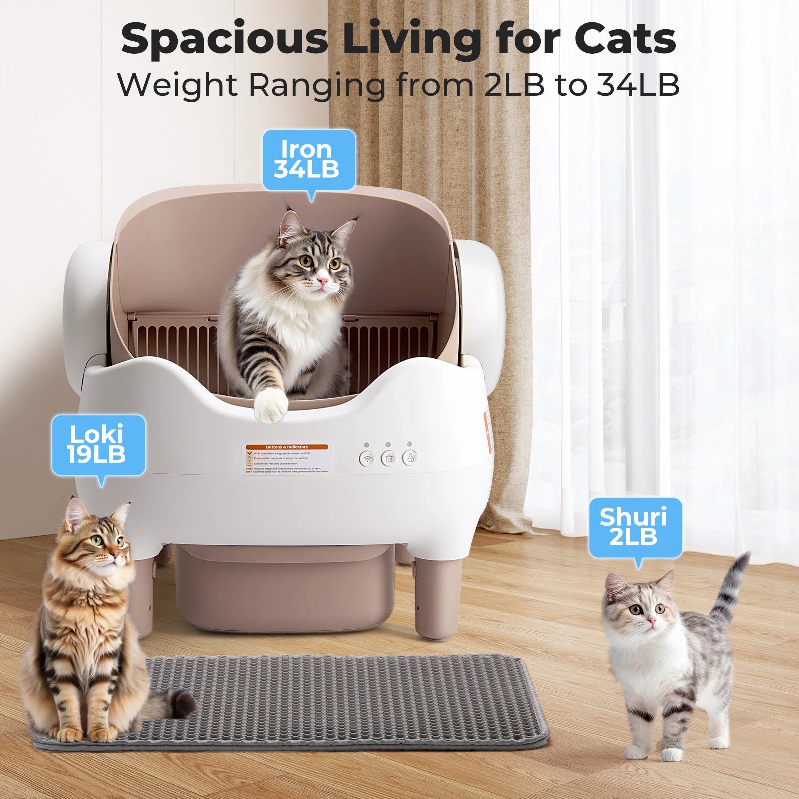 Smart Litter Box interior
