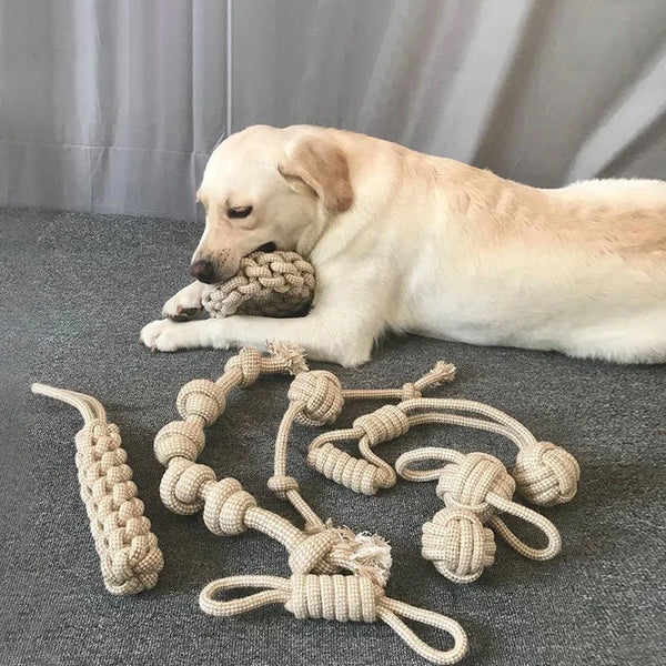 Durable Rope Chew Toys for Dogs – Dental Health & Playtime Fun