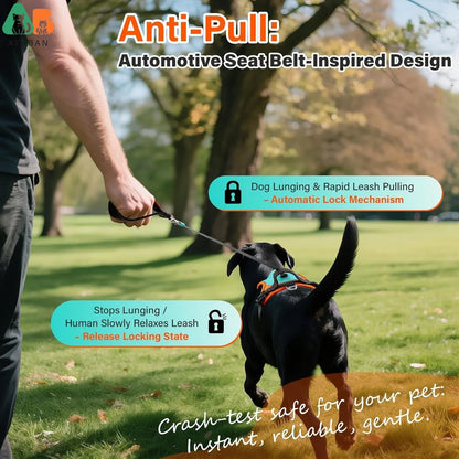 Grab & Go - Tactical Dog Harness with Leash & Pouches