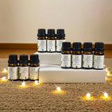 Modahub 10pc Essential Oil Starter Set · Gift Box