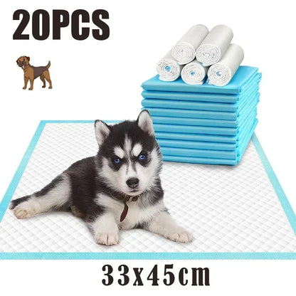 PawDry™ Super Absorbent Pet Training Pads – Disposable Pee Pads for Dogs & Cats