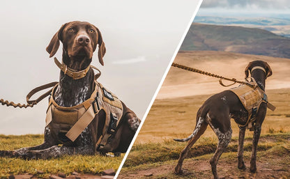 The Modahub Tactical Dog Harness for Large Dogs