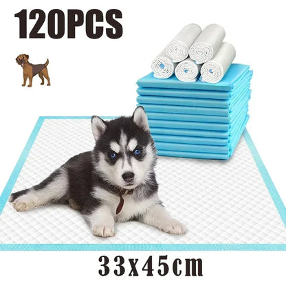 PawDry™ Super Absorbent Pet Training Pads – Disposable Pee Pads for Dogs & Cats