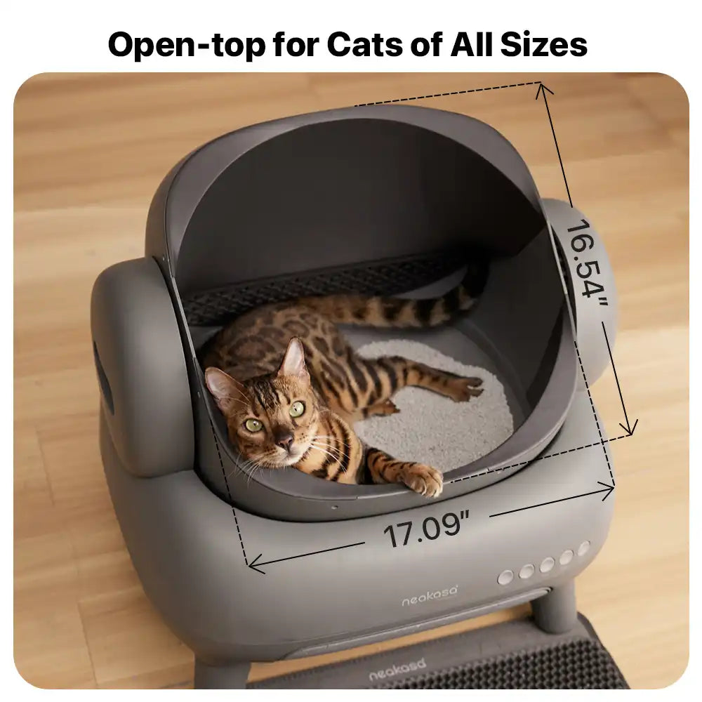 Stop Scooping Forever – The #1 Smart Litter Box Eliminates Odor Automatically