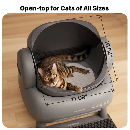 Stop Scooping Forever – The #1 Smart Litter Box Eliminates Odor Automatically