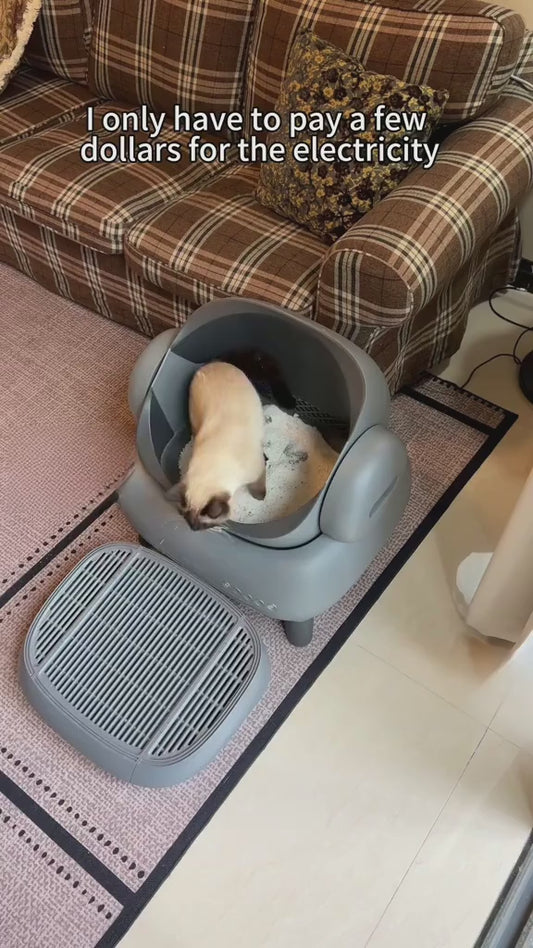 The Modahub™ Smart Self-Cleaning Litter Box - M1 Edition